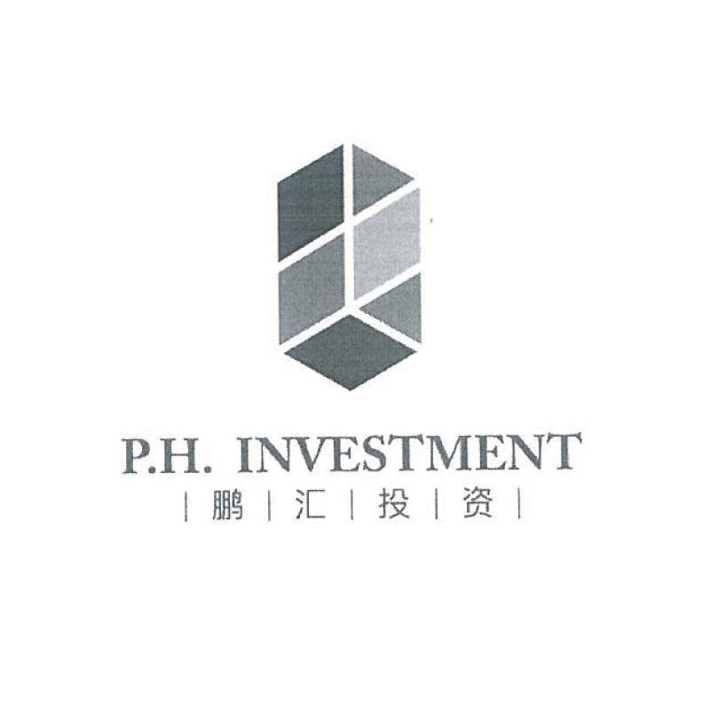 鹏汇投资咨询 专业投资咨询服务解析